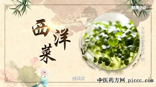 健康之路20190310:赵宏,西洋菜腔骨汤,生姜红糖膏,曹炜