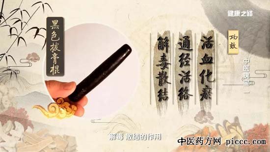 健康之路20190403:毛克臣,周冬梅,拔膏疗法,黑色拔膏棍