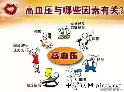 健康之路20190430:赵迎,高血压对哪一个器官的危害最大