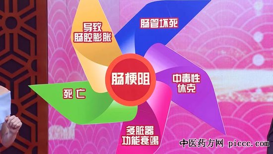 养生堂20190520:杜时雨,房龙,警觉肠道拦路虎,不排气,放屁