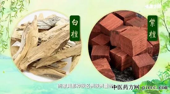 健康之路20190606:杨志敏,木头也是药,丹参饮,檀香散,沉香顺气茶