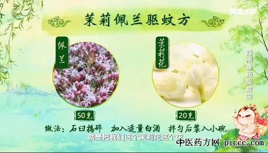 20190608健康之路视频和笔记:黄彬,茉莉佩兰驱蚊方,艾叶驱蚊香