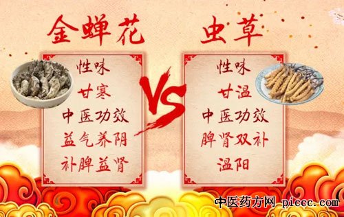 养生堂20190613:陈以平,王琳,肾病怎么治,金蝉花的功效,养肾秘花