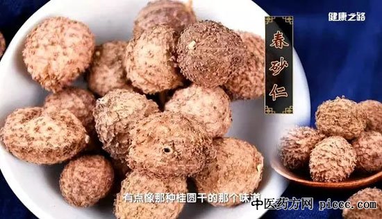 健康之路20190618:张忠德,砂仁陈皮饮,砂仁桔梗薏苡仁饮,砂仁