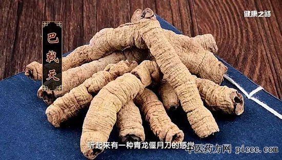 健康之路20190619:张忠德,巴戟天的保健功效,巴戟天酒