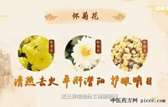 健康之路20190620:陈明,胎菊养肝护眼方,白菊降压茶,胎菊明目茶