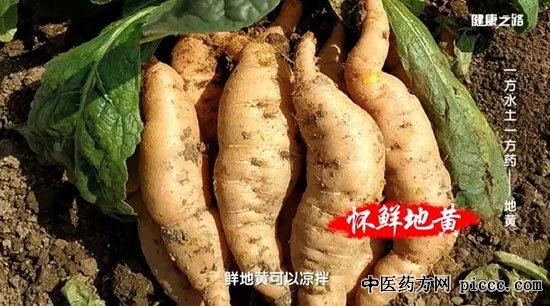 健康之路20190622:陈明,地黄的成效,心火旺盛的体现,导赤散