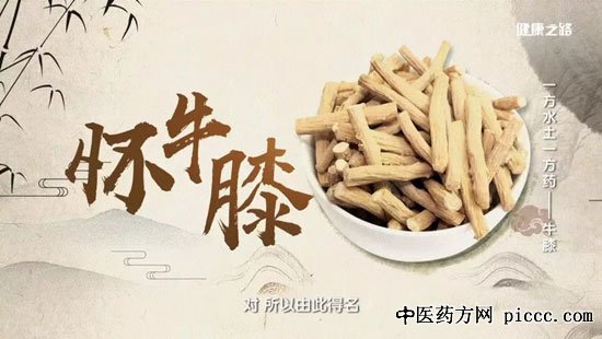 健康之路20190623:牛膝,陈明,安立汤,怀牛膝止血茶,怀牛膝蹄筋