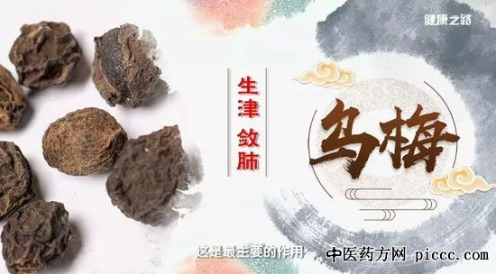 健康之路20190804:张雪亮,乌梅小排,乌梅番茄酿,马齿苋粥,乌梅紫苏