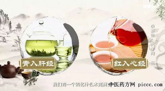 健康之路20190811:杨志敏,喝普洱的忌讳,常见的黑茶有哪些