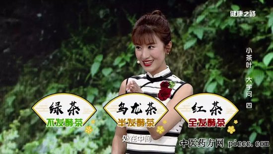 健康之路20190812:杨志敏,乌龙茶的冲泡技巧,怎么选择乌龙茶