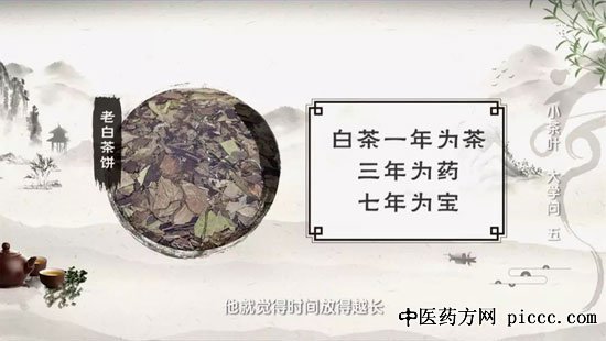 健康之路20190813:杨志敏,白茶药枕,白茶是越老越好吗,白茶的诀窍