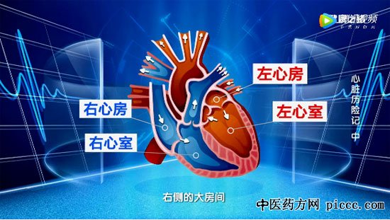 健康之路20190918:孟旭,心脏里的四扇单向门,什么是二尖瓣狭隘