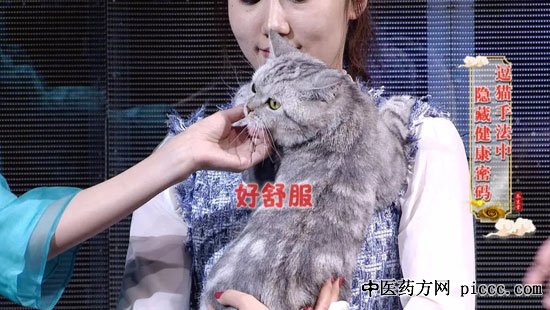 养生堂20190922:徐荣谦,引起魄不安的原因,安魄的按摩手法,温胆汤