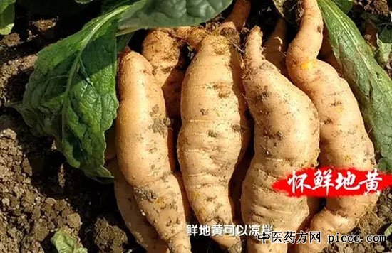 ����֮·20191007:����,����ɢ,���ػƵĳ�Ч,�Ļ���ʢ������