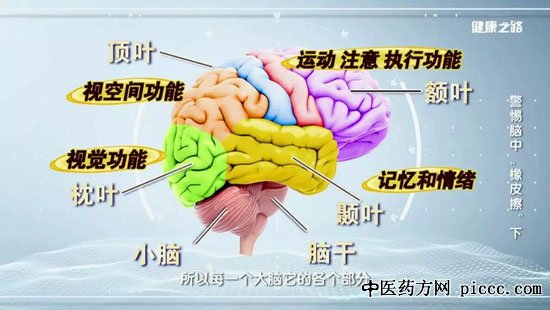 健康之路20191103:贾建平,乔雨辰,阿尔茨海默症早发现早预防