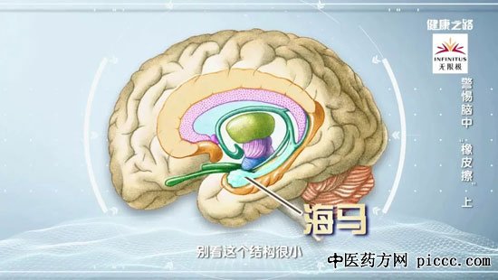 健康之路20191102:贾建平,乔雨辰,老年性痴呆的防治方法