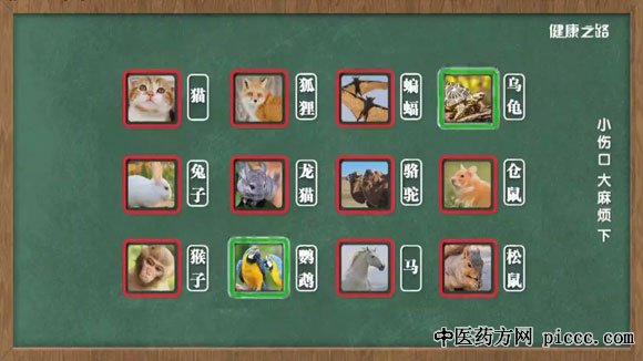 健康之路20191129:王传林,被宠物抓伤后的处理方式,狂犬病