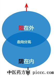 阴阳分离图