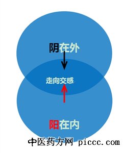 阴阳分感图