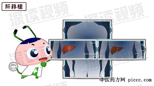 健康之路20200102:栗光明,肝移植,肝硬化,换来的新生,乙肝病毒