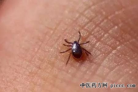 ����֮·20200402:������,���뾯��,���방�����,��δ���ɫ����