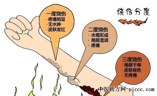 ����֮·20200403:�ִ��,���˽�����������,������ҧ�˺�Ĵ���