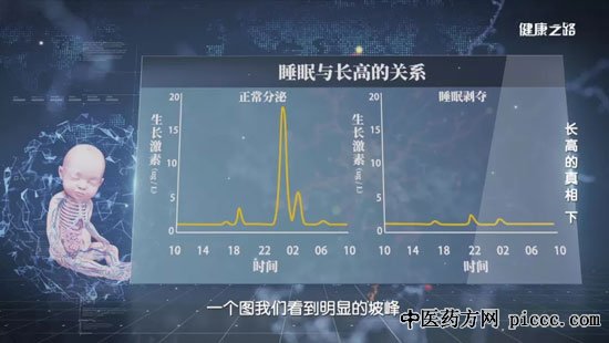 健康之路20200602:张知新,生长激素,睡眠为何与长高密切相关