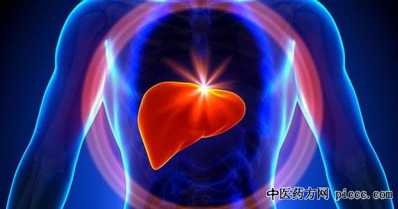 ����֮·20200604:������,��Դ,������Щ��,������ֲ,ĩ�ڸβ�