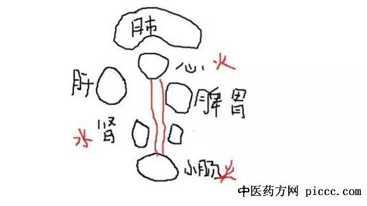 ����֮·20200608:Ҧ����,����Ƣθʪ�ȵ�ʳ��,Ƣθ����Ҳ����