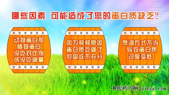 养生堂20200627:蛋白质,陈伟,维生素,免疫力低下,影响蛋白质的吸收