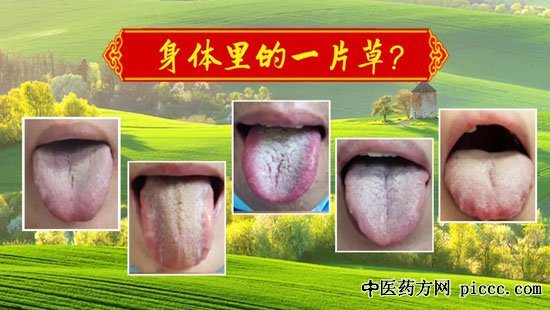 养生堂20200705:翁维良,身体中的湿度计,湿气,舌诊,健脾祛湿