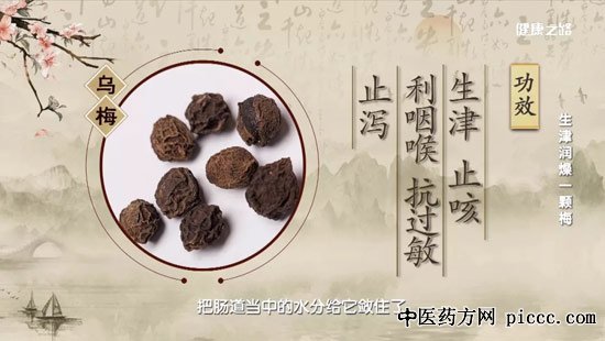 健康之路20200810:生津润燥一颗梅,乌梅,傅延龄,低糖版乌梅饮