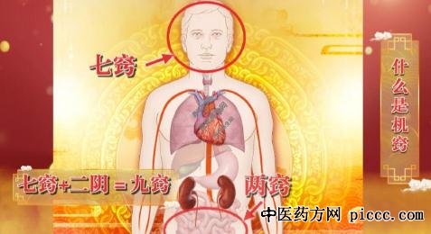 养生堂20200813:机窍开合护长寿,钟利群,身体两个机窍与长寿相关