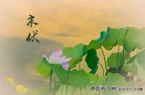 ÑøÉúÌÃ20200817:Ä©·ü»¤ÐÄÕýµ±Ê±,½ðõ,Ù¡Àö,²âÊÔÐÄÔ๦ÄÜС¶¯×÷