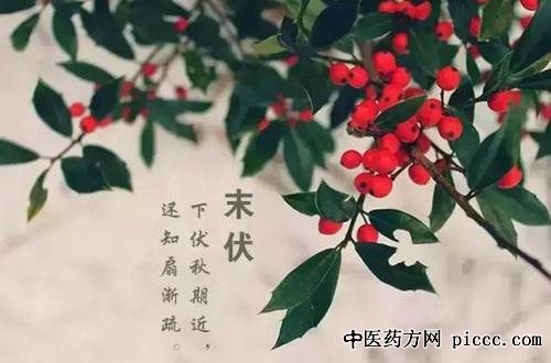 养生堂20200819:末伏也需防脑梗,傅瑜,三伏天脑梗死的危险人群