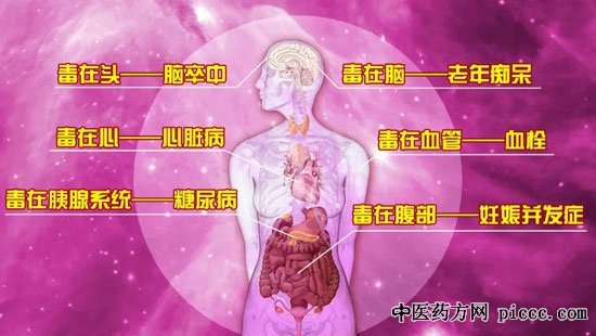 养生堂20200825:可怕的第四高,杨宝钟,自测妙招辨别下肢血管通畅