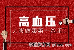 沈绍功诊疗高血压病经验