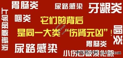 养生堂20200910:入秋护肾先扶正,赵文景,脏腑正气虚衰诱发肾脏疾病