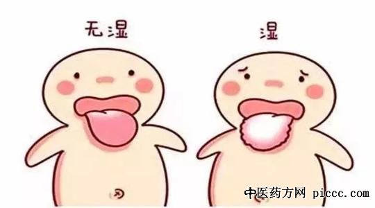 健康之路20200912:曹炜,都是湿惹的祸,湿邪的病理,上火长痘湿邪表现