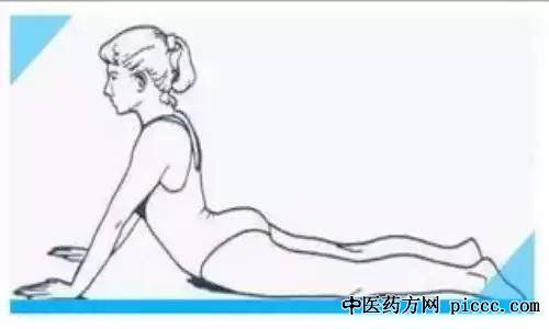 养生堂20201001:付国兵,戴晓晖,第二生命线失衡,脊柱,脾胃失调