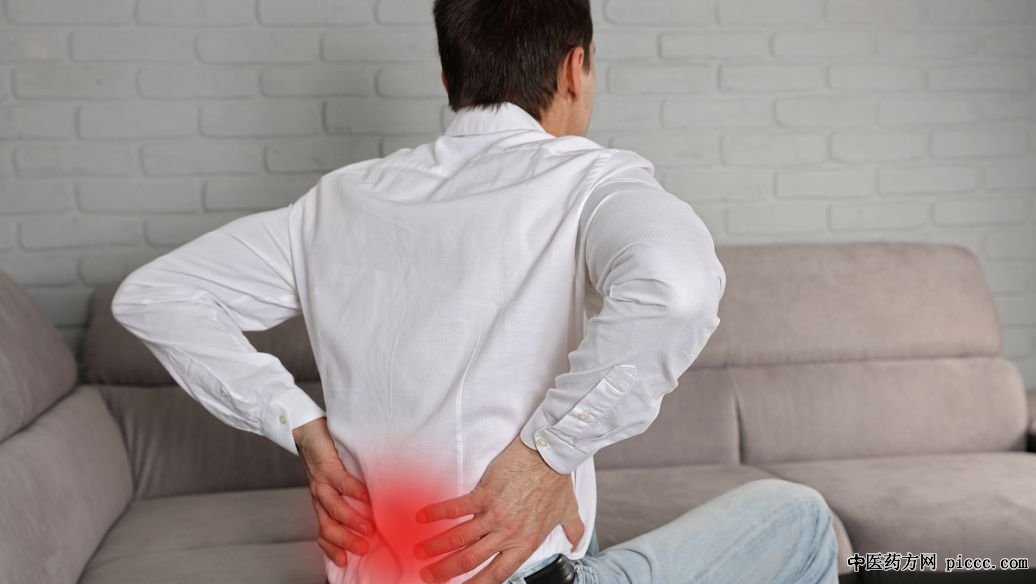 养生堂20201006:沈潜,如何“逆”方法助长寿“拉环”跟固护腰肾