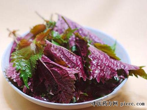 ����֮·2020102:������,����,��Ҷ,�չ�,����,���յ�������Ч