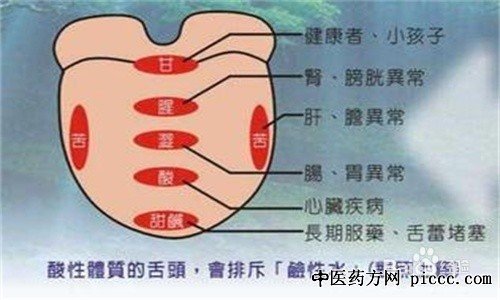 舌诊图解大全及治疗
