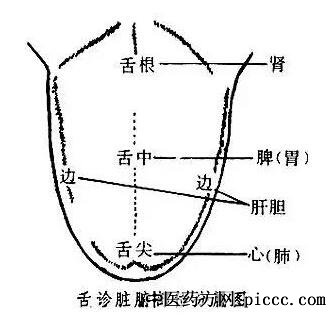 舌诊图解大全及治疗