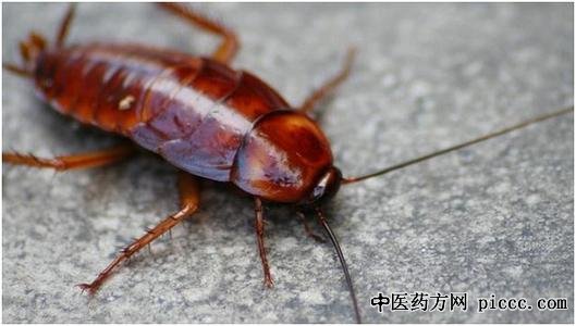 ����֮·20201113:�����M,��ο�ѧ�������,���֪ʶ֪����