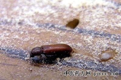 ����֮·20201115:�����M,��ο�ѧ��������,��ô������������