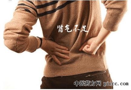 养生堂20201124:张宁,肾虚补肾法,1+1>2的补肾法,温补肾阳食疗方