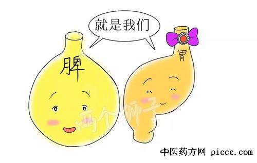 养生堂20201207:张声生,肝脾两脏同保养脾胃,清热利湿保肝茶饮方