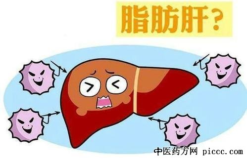 养生堂20210117:王国玮,消脂茶,养护自己的肝脏,反转脂肪肝的方法